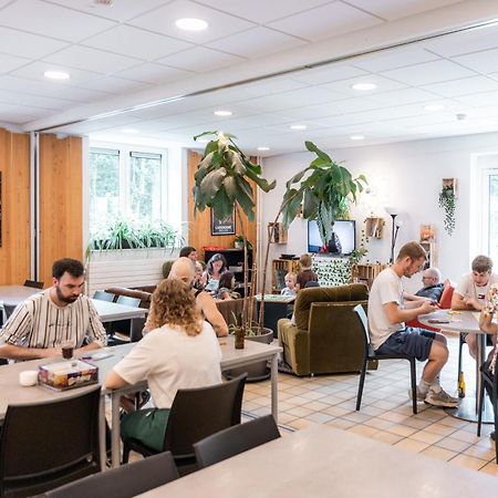 Auberge De Jeunesse De La Roche - Champlon Tenneville Eksteriør billede